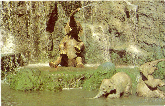 Elephant Bathing Pool at Disney World - Carey's Emporium