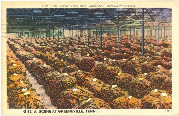 Interior of a Southern Loose Leaf Tobacco Warehouse, Greeneville, TN - Carey's Emporium