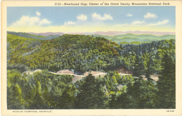 Newfound Gap, Center of the Great Smoky Mountains National Park - Carey's Emporium