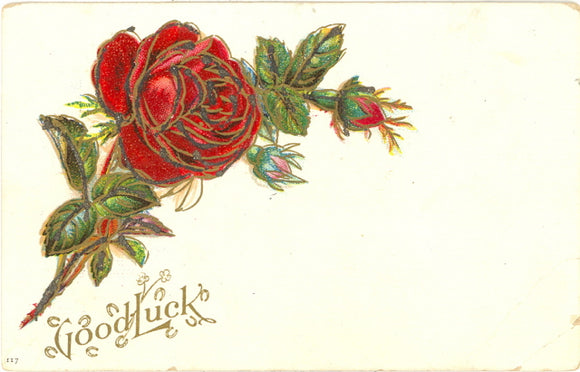 Good Luck - Carey's Emporium