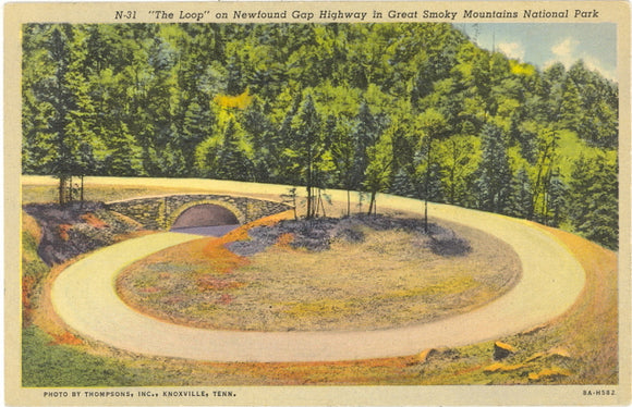 The Loop, on Newfound Gap Highway in Great Smoky Mountains National Park - Carey's Emporium