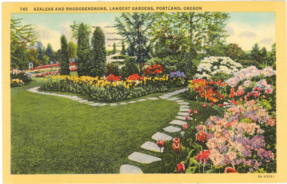 Azaleas and Rhododendrons, Lambert Gardens, Portland, OR - Carey's Emporium