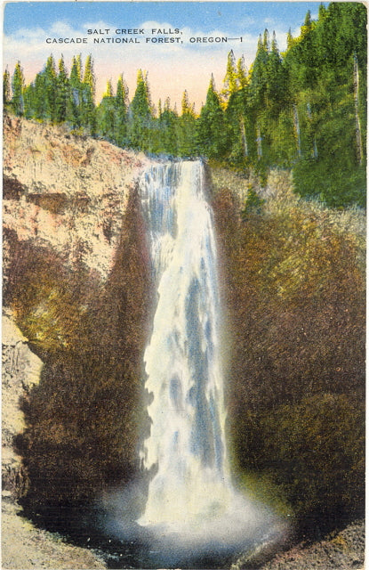 Salt Creek Falls, Cascade National Forest, OR - Carey's Emporium