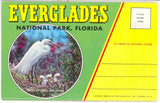 Everglades National Park Souvenir Folder - Carey's Emporium
