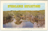 Everglades National Park Souvenir Folder - Carey's Emporium