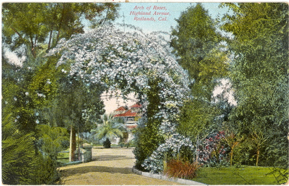 Arch of Roses, Highland Avenue, Redlands, CA - Carey's Emporium