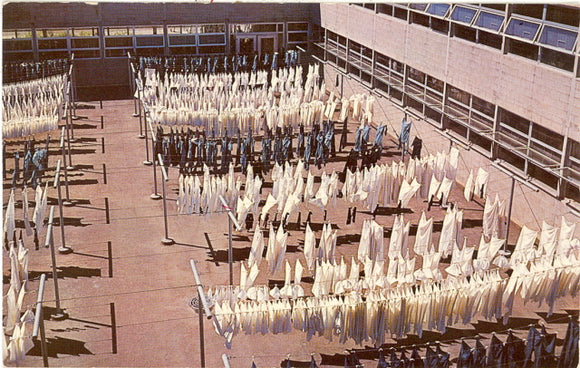 Naval Training Center, Great Lakes, IL - Carey's Emporium