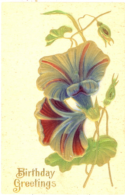 Birthday Greetings - Carey's Emporium