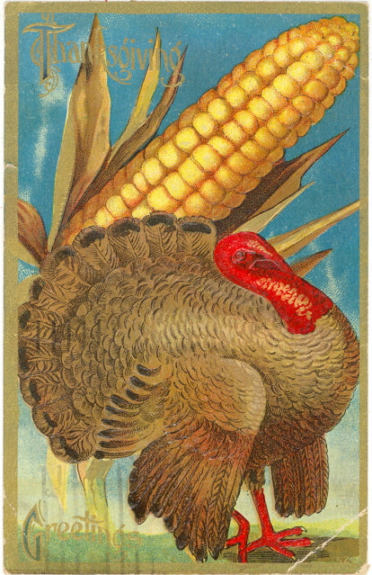 Thanksgiving Greetings - Carey's Emporium