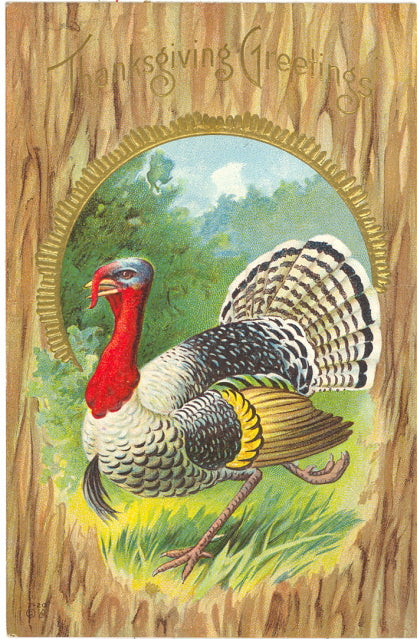 Thanksgiving Greetings - Carey's Emporium