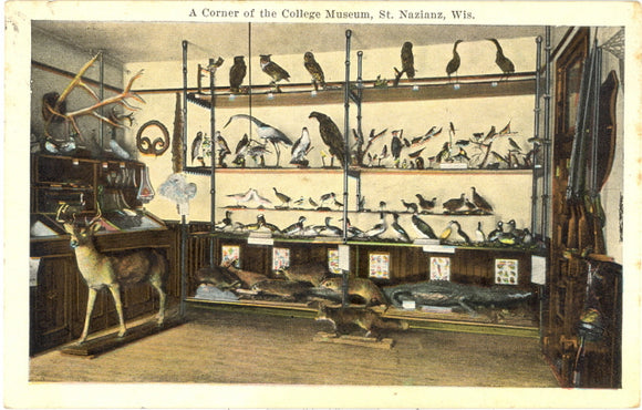 A Corner of the College Museum, St. Nazianz, WI - Carey's Emporium