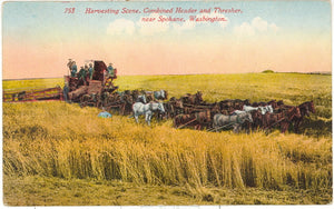 Harvesting Scene, Combined Header and Thresher, near Spokane, WA - Carey's Emporium