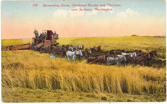 Harvesting Scene, Combined Header and Thresher, near Spokane, WA - Carey's Emporium