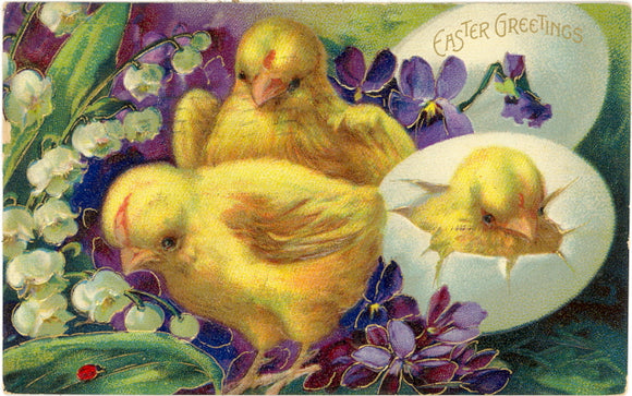 Easter Greetings - Carey's Emporium