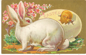 Easter Greetings - Carey's Emporium