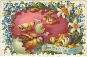 Glad Easter Greetings - Carey's Emporium