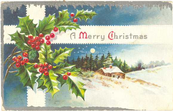 A Merry Christmas - Carey's Emporium