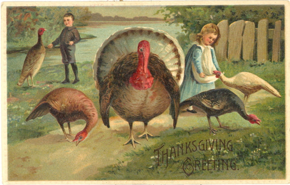 Thanksgiving Greeting - Carey's Emporium