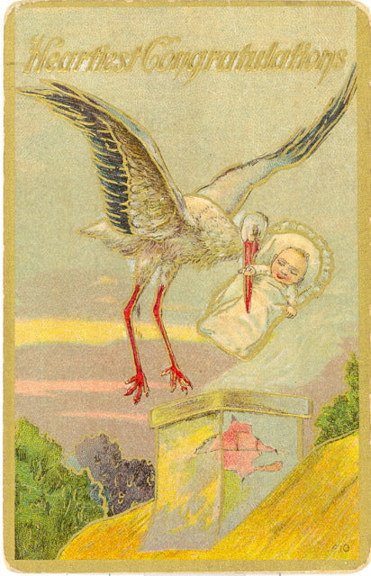 Heartiest Congratulations - Carey's Emporium