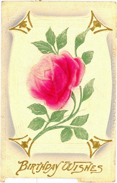 Birthday Wishes - Carey's Emporium