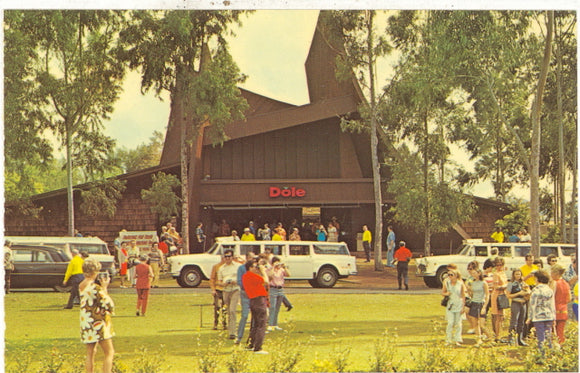 The Famous Dole Pineapple Stand, Hawaii - Carey's Emporium