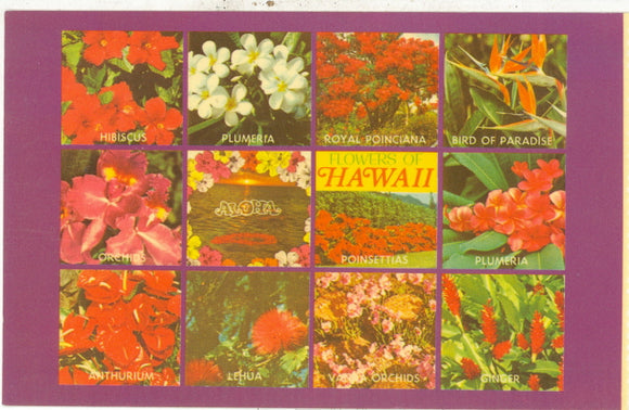 Flowers of Hawaii - Carey's Emporium