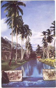 Canal, Rio Cobre, Jamaica, B.W.I. - Carey's Emporium