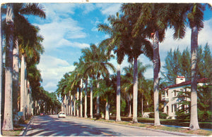 Royal Palms, Fort Myers, FL - Carey's Emporium