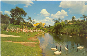 Busch Gardens, Tampa, FL - Carey's Emporium