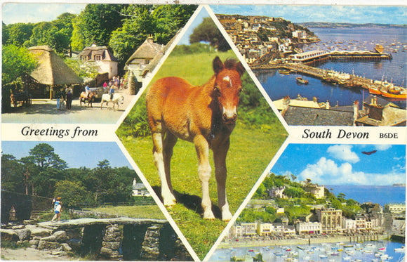 Greetings from South Devon - Carey's Emporium