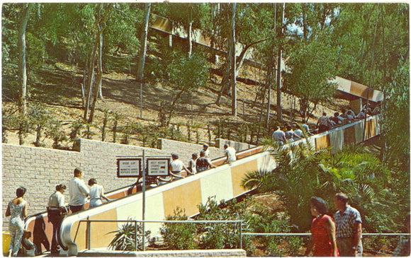 Balboa Park Zoo, San Diego CA - Carey's Emporium