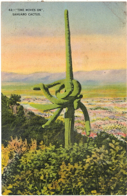 Time Moves On, Sahuaro Cactus - Carey's Emporium