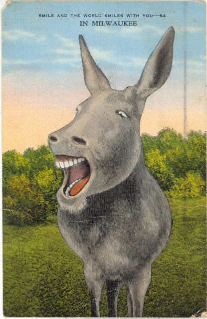 Donkey, Milwaukee, WI - Carey's Emporium