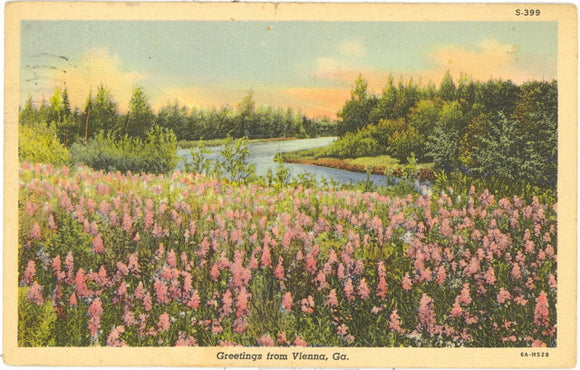 Greetings from Vienna, GA - Carey's Emporium