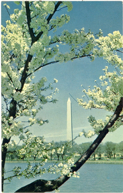The Washington Monument, Washington, DC - Carey's Emporium