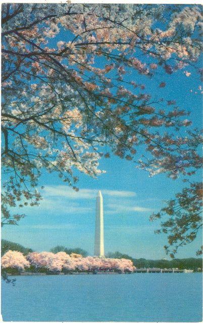 The Washington Monument, Washington, DC - Carey's Emporium