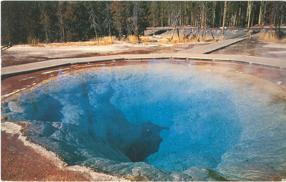 Morning Glory Pool, Yellowstone National Park - Carey's Emporium