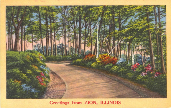 Greetings from Zion, IL - Carey's Emporium