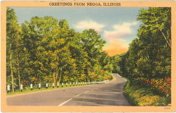 Greetings from Neoga, IL - Carey's Emporium