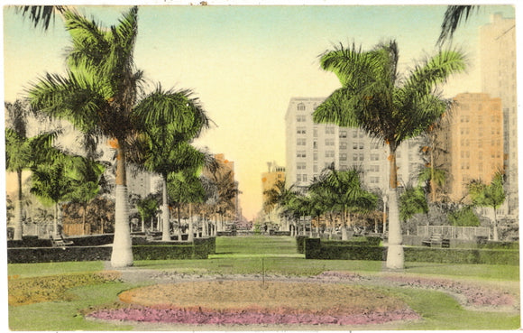 Looking up Flagler Street from Bayfront Park,  Miami, FL - Carey's Emporium
