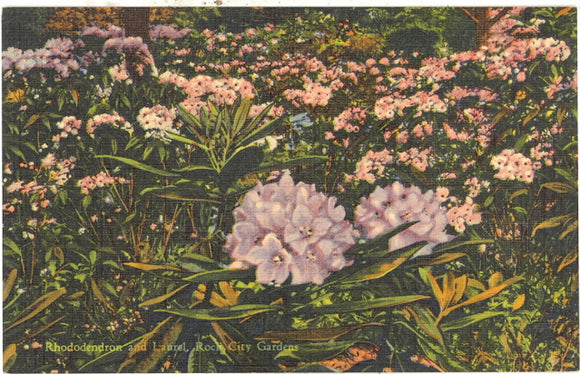 Rock City Gardens, Lookout Mountain, GA - Carey's Emporium