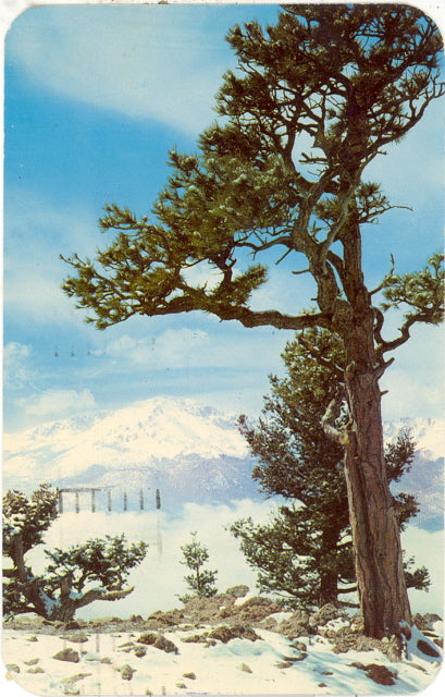 Rampart Range Road View, Pikes Peak, CO - Carey's Emporium