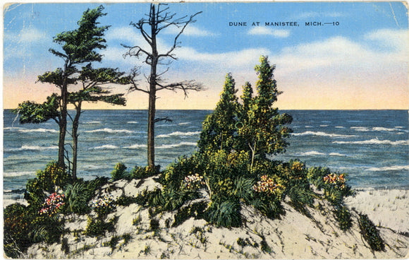 Dune at Manistee, MI - Carey's Emporium