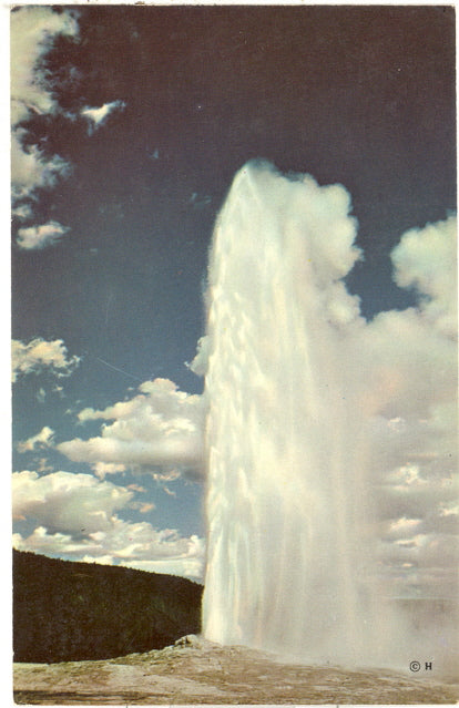 Old Faithful Geyser, Yellowstone National Park - Carey's Emporium