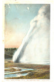 Daisy Geyser, Yellowstone National Park - Carey's Emporium