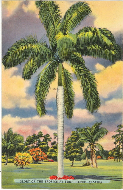 Glory of the Tropics at Fort Pierce, FL - Carey's Emporium