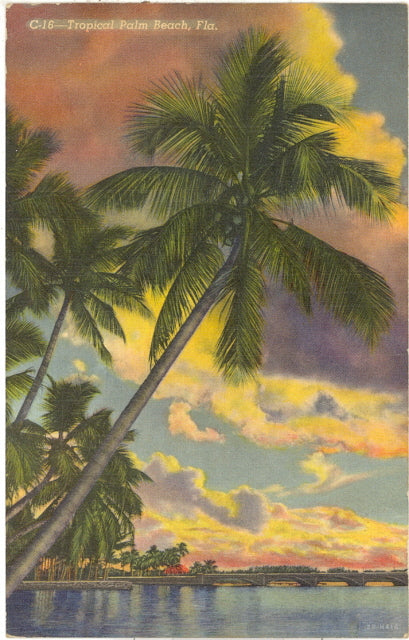 Tropical Palm Beach, FL - Carey's Emporium