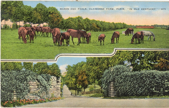 Claiborne Farm, Paris, KY - Carey's Emporium
