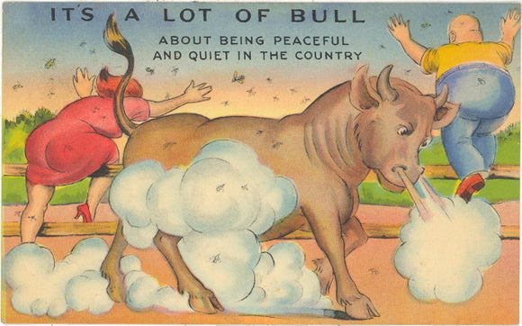 It's a Lot of Bull - Carey's Emporium