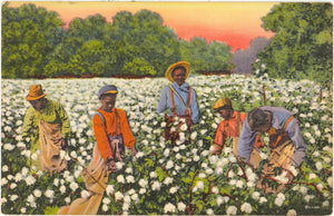 A Busy Day in the Cotton Field - Carey's Emporium